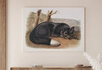 Second included artwork preview from Black Fox Wall Art, Vintage Painting. Vintage Animal Print. Printable Wall Art, Digital Download. Woodland Forest Art. Nature Print featuring various scenes.