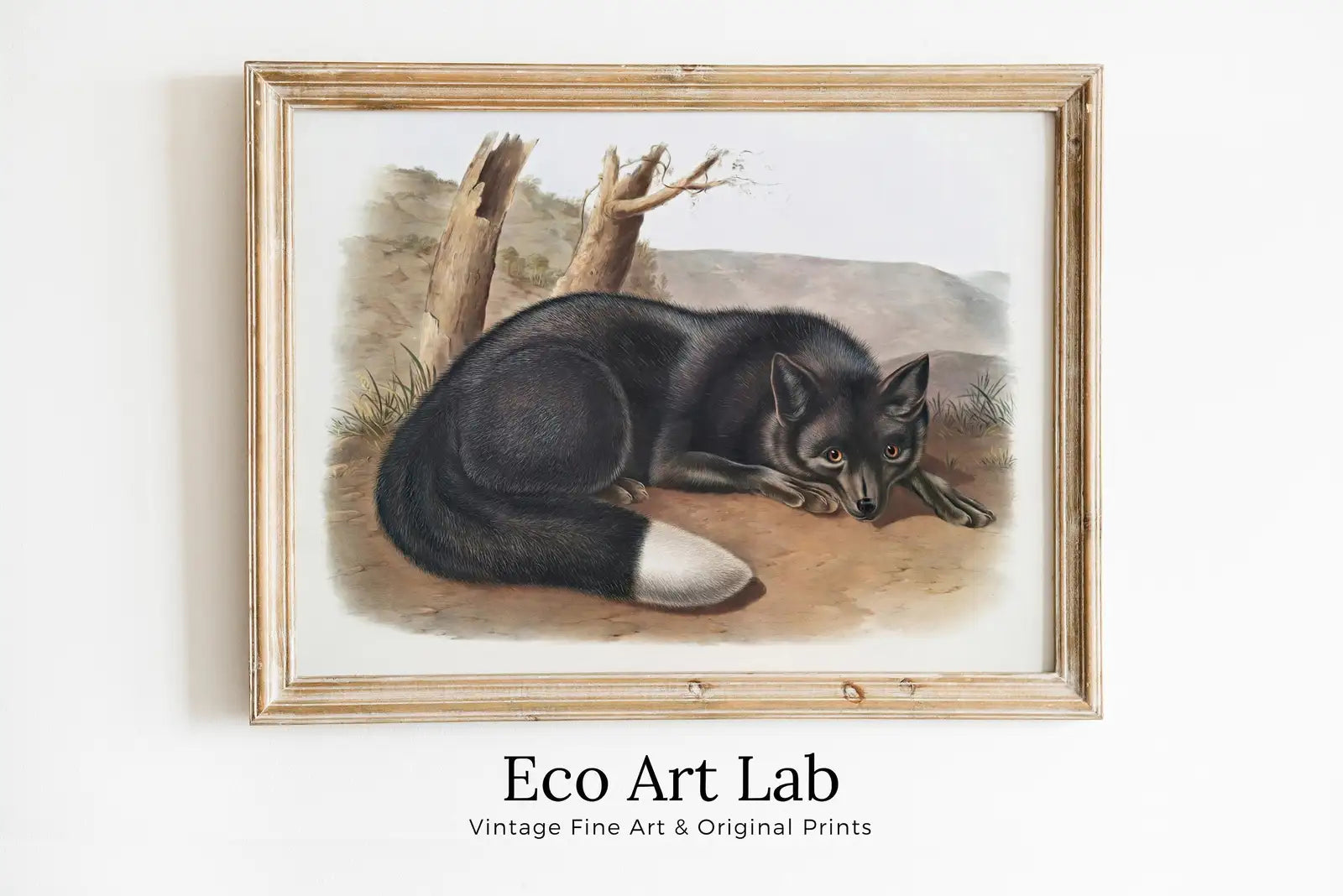 Framed view of Black Fox Wall Art, Vintage Painting. Vintage Animal Print. Printable Wall Art, Digital Download. Woodland Forest Art. Nature Print – printable wall art digital download.