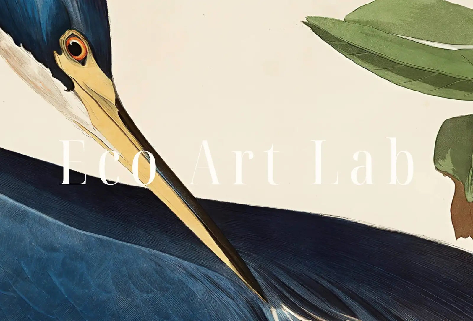 Second included artwork preview from Blue Heron Vintage Tropical Bird Printable Wall Art. Wildlife Nature Colorful Tropical Decor. Instant Download. Bird Poster Art Print featuring various scenes.