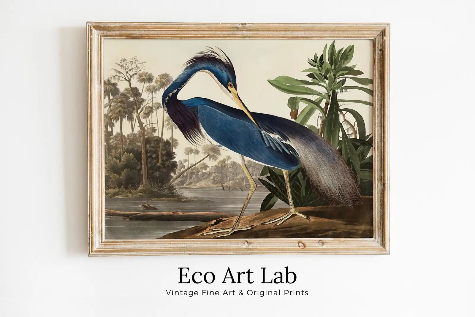 Framed view of Blue Heron Vintage Tropical Bird Printable Wall Art. Wildlife Nature Colorful Tropical Decor. Instant Download. Bird Poster Art Print – printable wall art digital download.