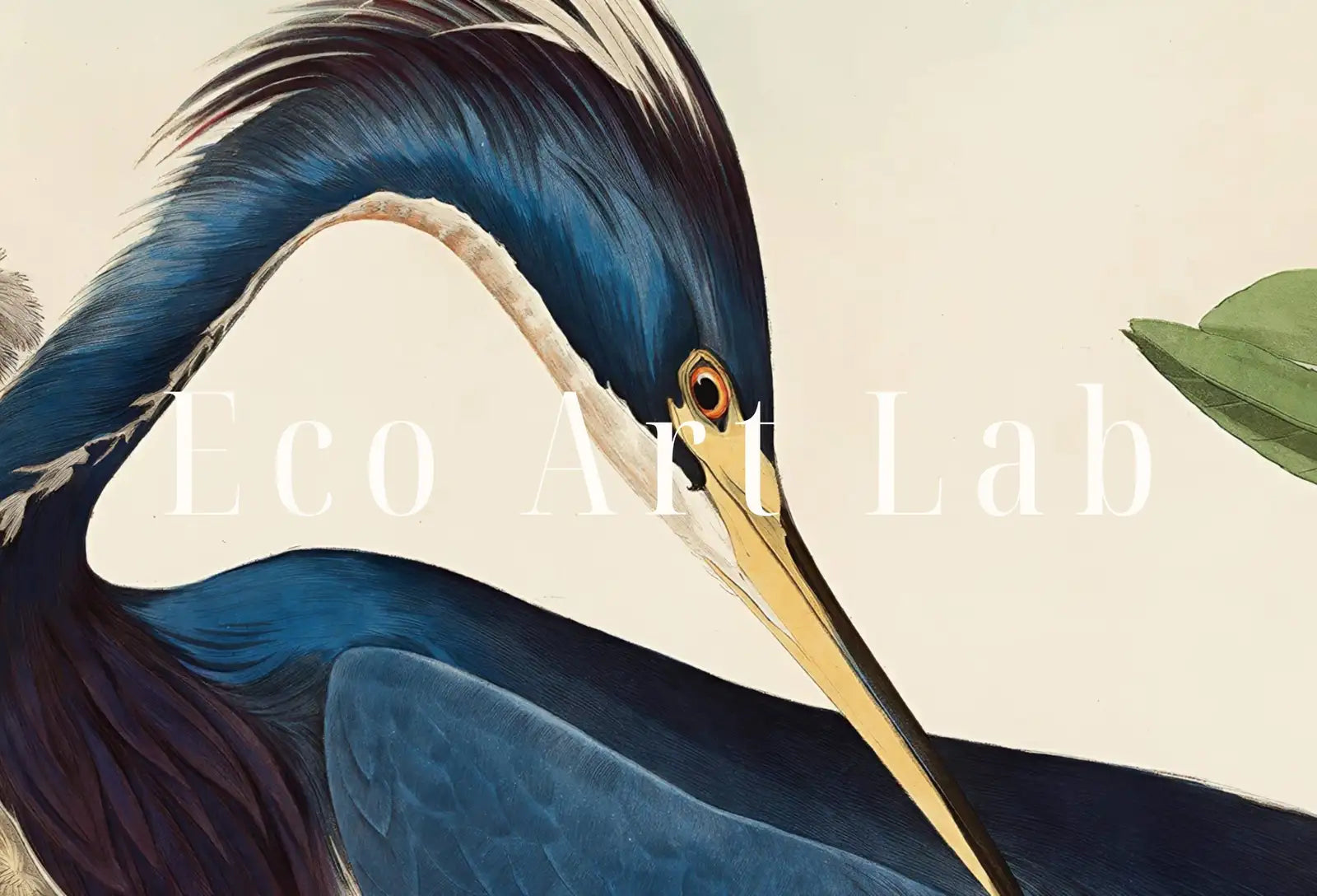 Detail view of artwork from Blue Heron Vintage Tropical Bird Printable Wall Art. Wildlife Nature Colorful Tropical Decor. Instant Download Bird Poster Vertical Print. (variation 1)