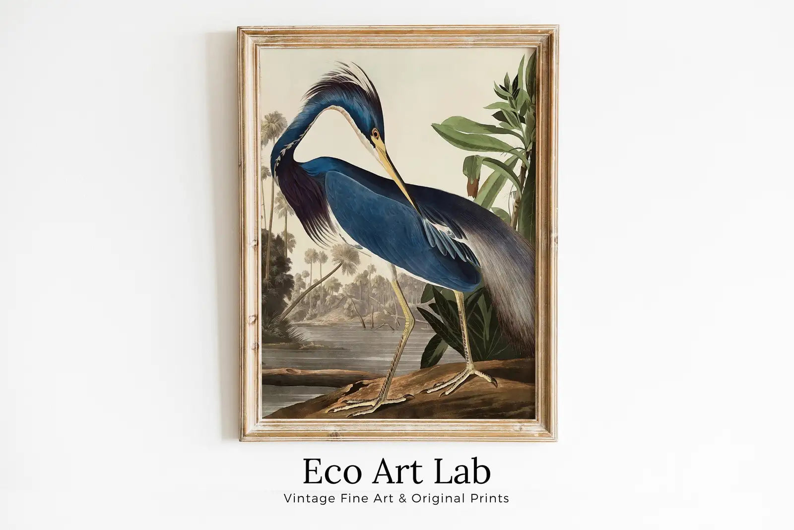 Framed view of Blue Heron Vintage Tropical Bird Printable Wall Art. Wildlife Nature Colorful Tropical Decor. Instant Download Bird Poster Vertical Print – printable wall art digital download.