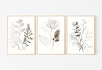 Botanical Line Art Set of 3 Prints. Neutral Wall Art Prints. Plant Prints Minimalist Modern Beige & White Wall Decor. Printable Wall Art. #2 – Printable Wall Art Set (Digital Download) – Digital Download