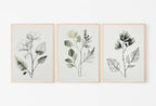 Framed view of Botanical Print Set of 3. Sage Green Gallery Wall Art. Boho Wild Flowers Printable Art. Abstract Line Art. Watercolor Floral Minimalist #3 – printable wall art digital download.