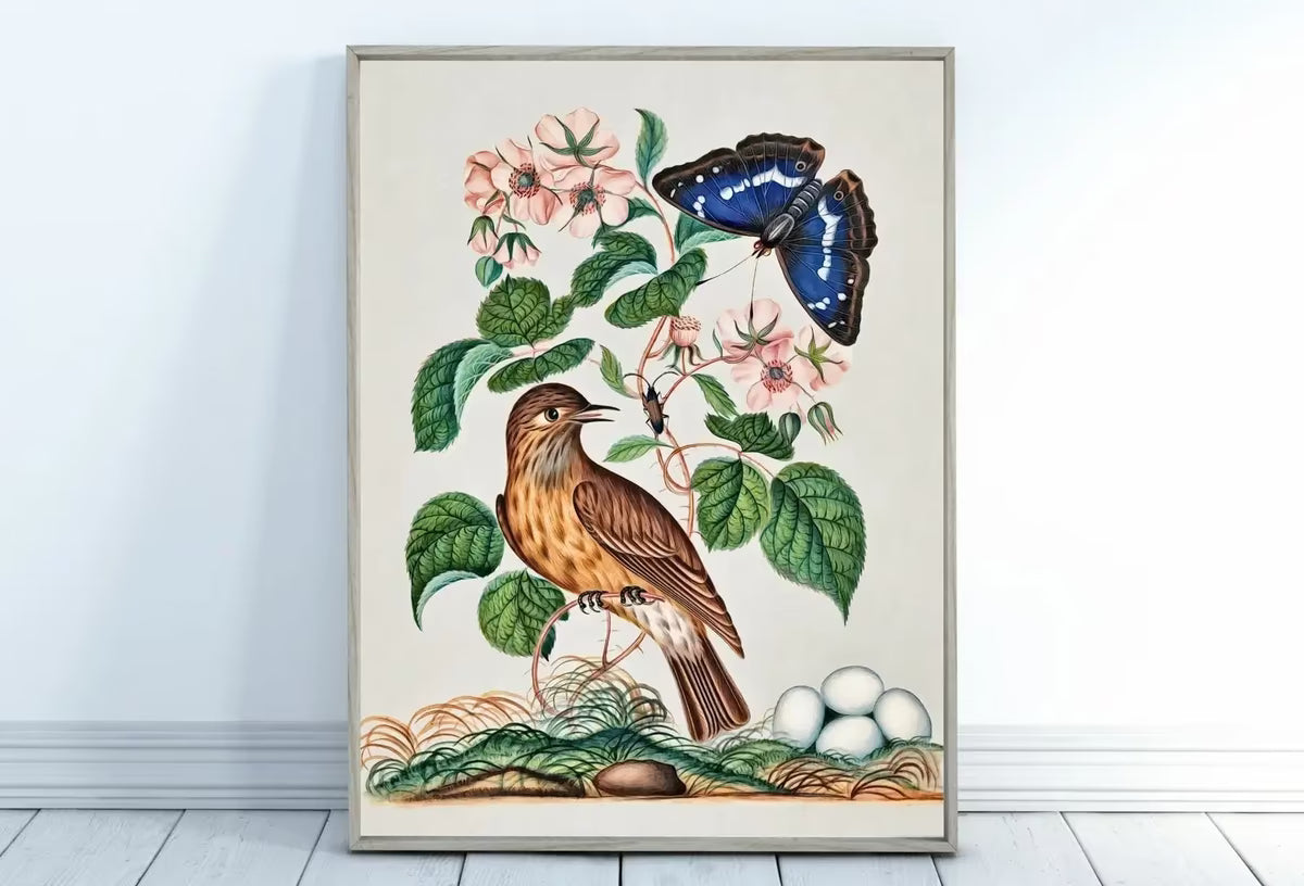 Botanical Wall Art Poster, Vintage Butterfly Print, Botanical Prints Flowers and Bird Decor Flower Market Print Digital Printable Wall Art – Printable Wall Art