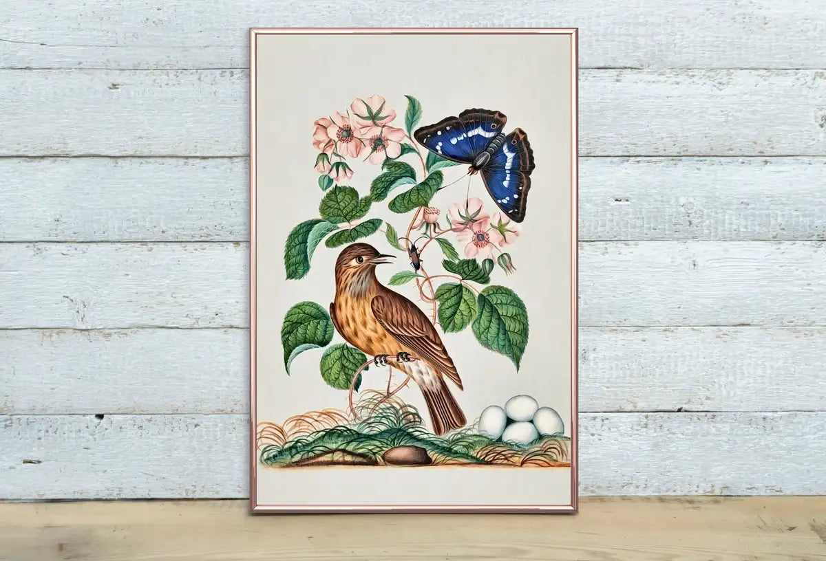 Detail view of artwork from Botanical Wall Art Poster, Vintage Butterfly Print, Botanical Prints Flowers and Bird Decor Flower Market Print Digital Printable Wall Art. (variation 2)