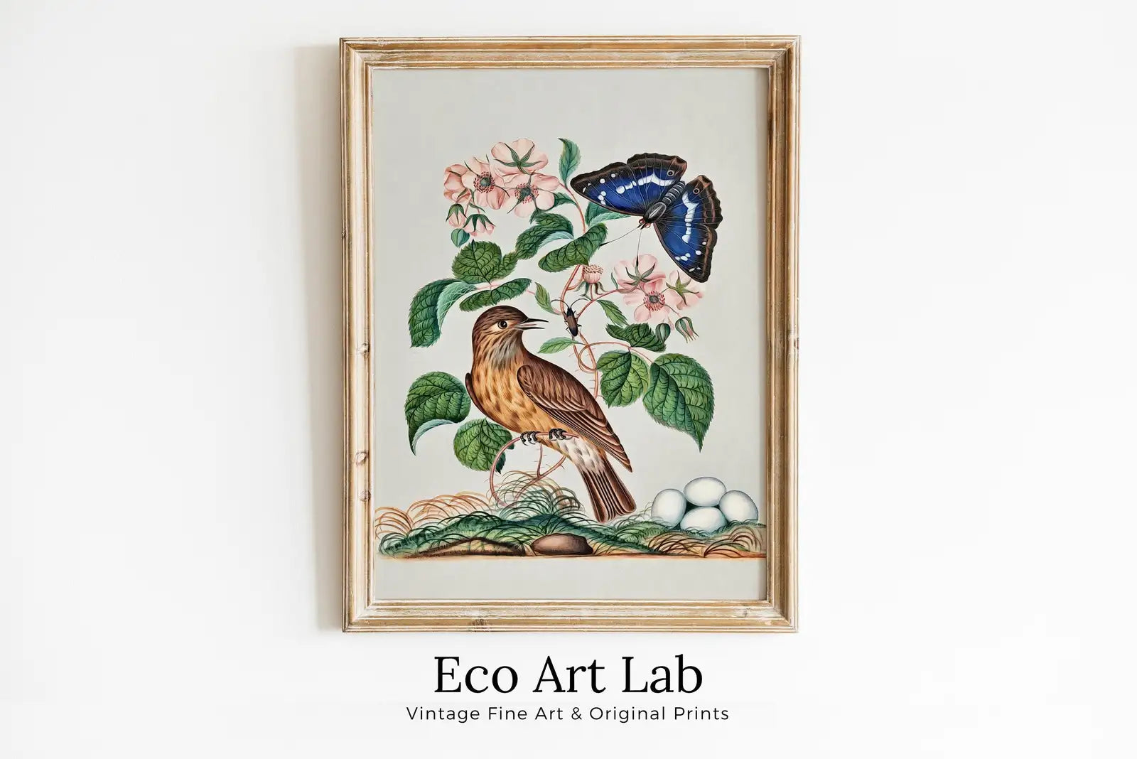 Framed view of Botanical Wall Art Poster, Vintage Butterfly Print, Botanical Prints Flowers and Bird Decor Flower Market Print Digital Printable Wall Art – printable wall art digital download.
