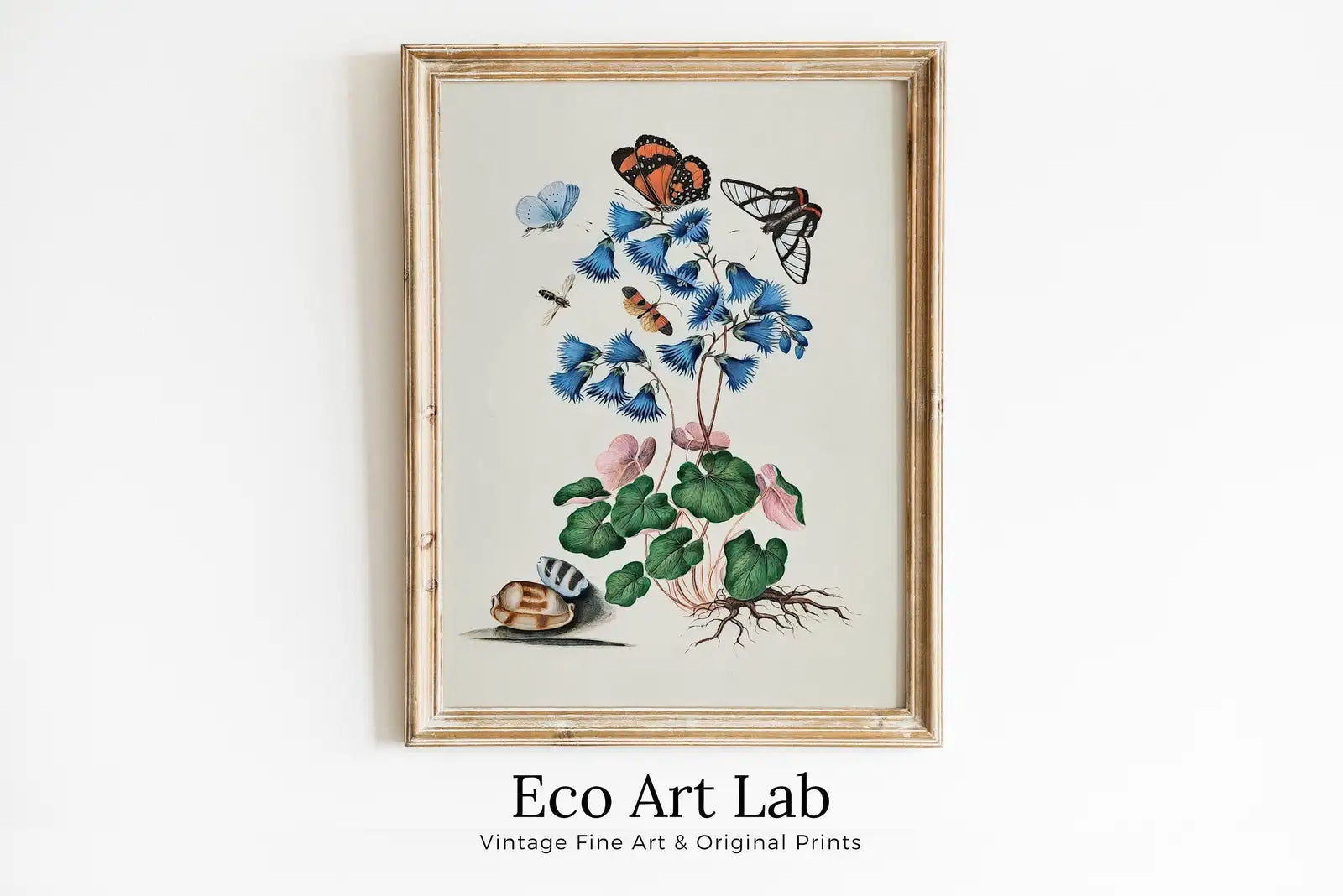 Framed view of Butterfly Flowers and Shells Wall Art Poster, Vintage Butterfly Print, Botanical Prints Decor Flower Market Print Digital Printable Wall Art – printable wall art digital download.