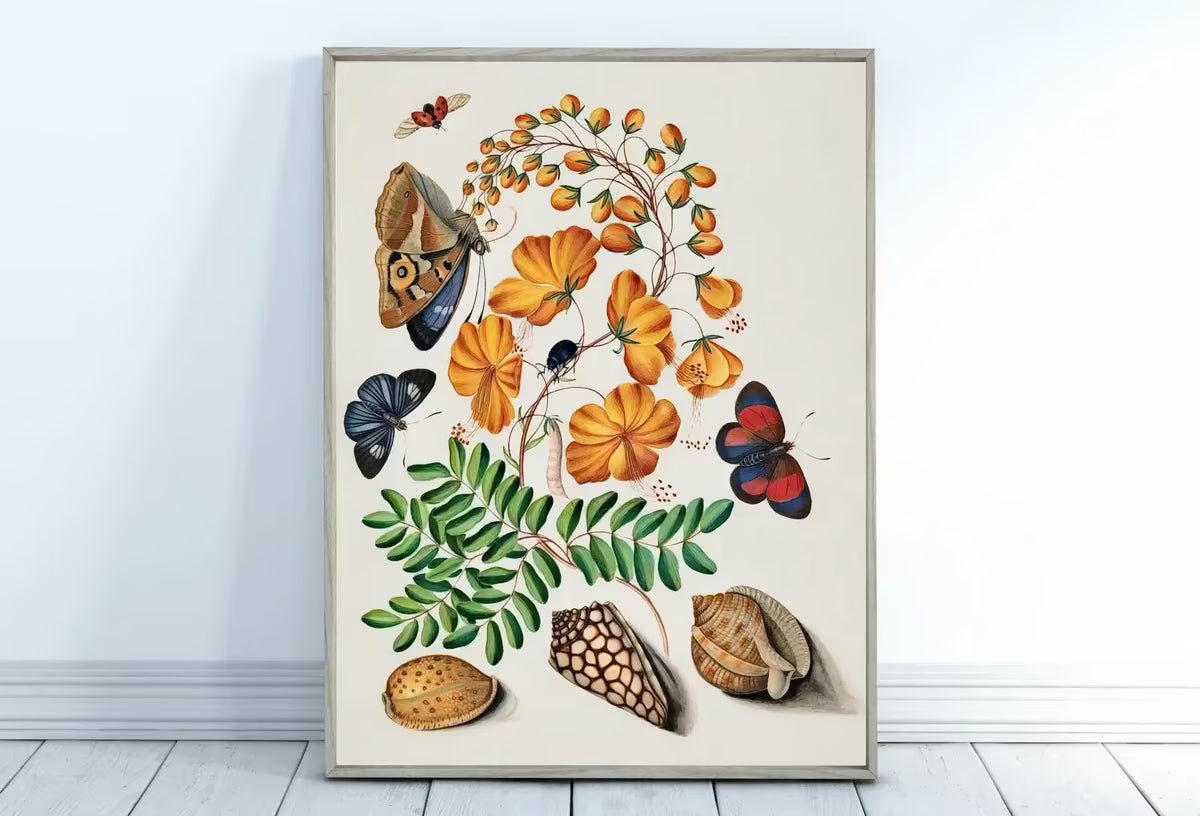 Butterfly Wall Art Poster, Vintage Butterfly Print, Botanical Prints Flowers and Shells Decor Flower Market Print Digital Printable Wall Art – Printable Wall Art