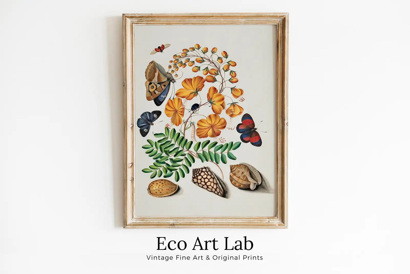 Framed view of Butterfly Wall Art Poster, Vintage Butterfly Print, Botanical Prints Flowers and Shells Decor Flower Market Print Digital Printable Wall Art – printable wall art digital download.
