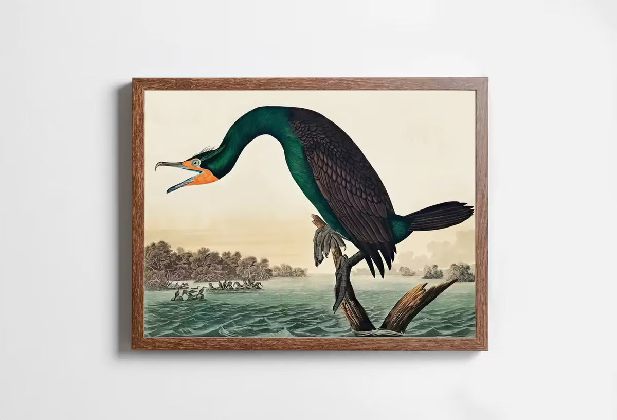 Florida Cormorant Vintage Tropical Bird Printable Wall Art. Wildlife Nature Colorful Tropical Decor. Instant Download. Bird Poster Art Print – Printable Wall Art