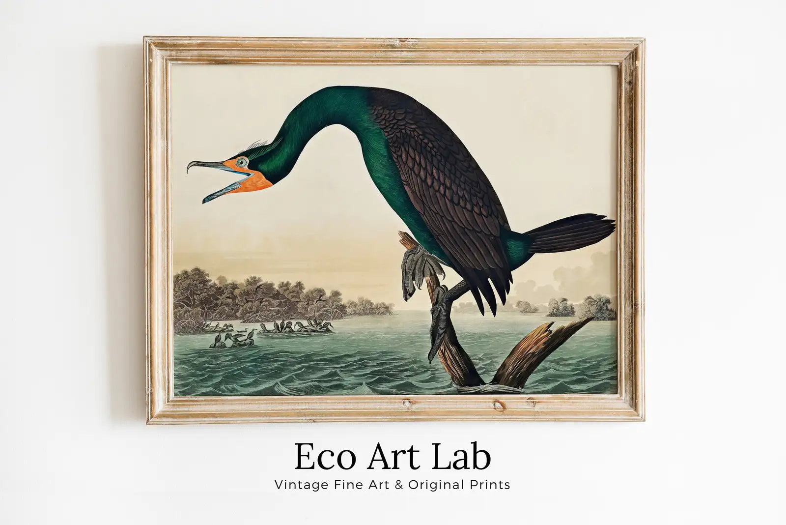 Framed view of Florida Cormorant Vintage Tropical Bird Printable Wall Art. Wildlife Nature Colorful Tropical Decor. Instant Download. Bird Poster Art Print – printable wall art digital download.