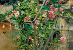Detail view of artwork from Flowers Garden Painting. Women Portrait. Vintage Landscape Print. On the terrace by Giovanni Boldini. Printable Wall Art. Digital Download. (variation 1)