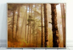 Included artwork preview showing first selection of artworks from Fog in Forest Landscape Painting, Abstract Printable Wall Art, for Home or Office Decor, Nature Print Digital Art Instant Download.