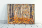 Included artwork preview showing first selection of artworks from Forest in Autumn. Fall Landscape Painting. Printable Wall Art for Home or Office Decor. Forest Art Nature Print Digital Art Instant Download.