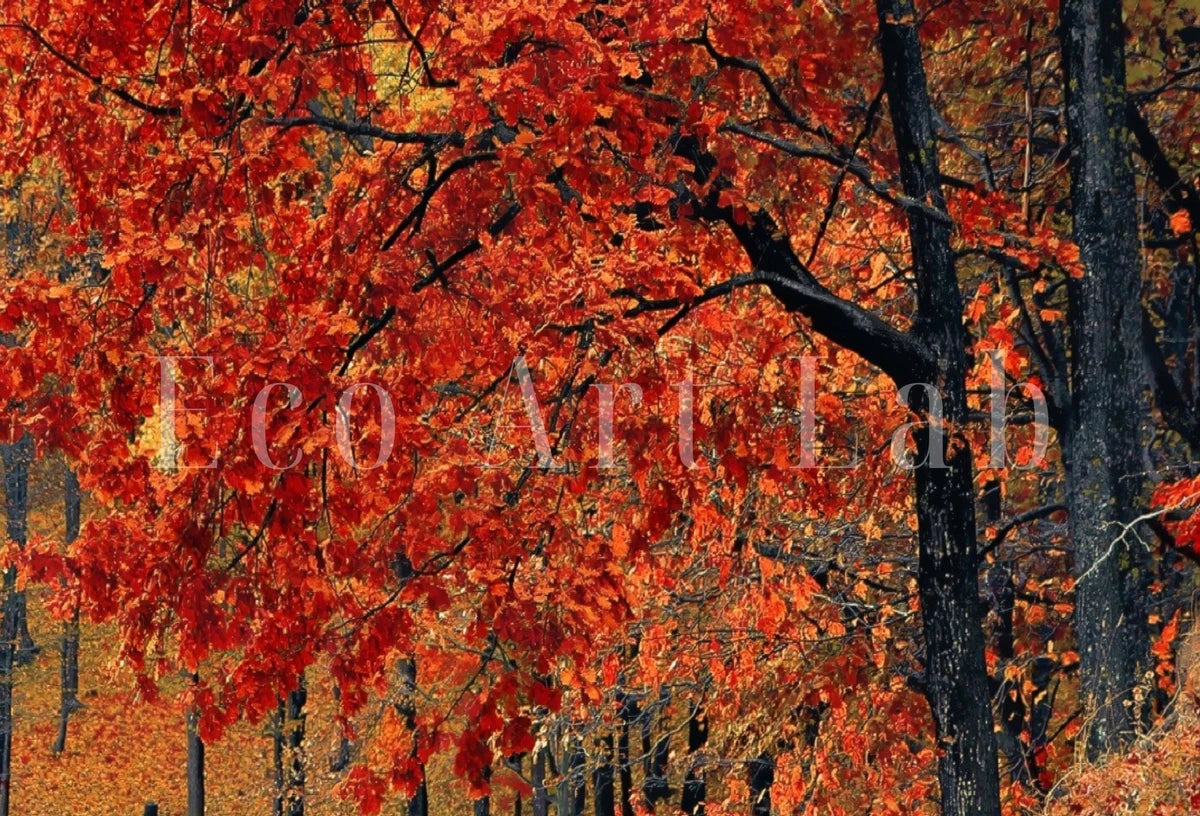 Detail view of artwork from Forest Trail in the Fall Landscape Painting, Printable Wall Art, for Home or Office Decor, Nature Print Digital Art Instant Download. (variation 2)