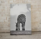 Grazing Zebra Black and White Printable Wall Art. Zebra Digital Print Black and White Art Vertical Downloadable Art. Safari Animals Print – Printable Wall Art