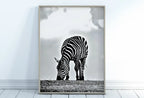Detail view of artwork from Grazing Zebra Black and White Printable Wall Art. Zebra Digital Print Black and White Art Vertical Downloadable Art. Safari Animals Print. (variation 1)