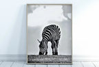 Grazing Zebra Black and White Printable Wall Art. Zebra Digital Print Black and White Art Vertical Downloadable Art. Safari Animals Print – Printable Wall Art