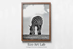 Framed view of Grazing Zebra Black and White Printable Wall Art. Zebra Digital Print Black and White Art Vertical Downloadable Art. Safari Animals Print – printable wall art digital download.