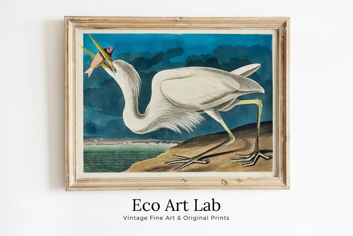 Great White Heron Vintage Tropical Bird Printable Wall Art. Wildlife Nature Colorful Tropical Decor. Instant Download. Bird Poster Art Print – Printable Wall Art
