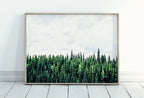 Included artwork preview showing first selection of artworks from Green Forest Print Nature Wall Art. Pine Trees Printable Photography. Forest Print, Modern Decor, Forest Photography, Green Forest Landscape.