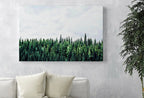 Detail view of artwork from Green Forest Print Nature Wall Art. Pine Trees Printable Photography. Forest Print, Modern Decor, Forest Photography, Green Forest Landscape. (variation 1)