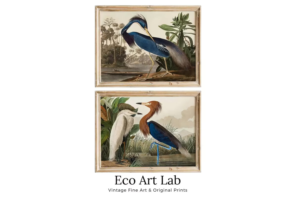 Herons Vintage Tropical Birds Set of 2 Prints. Wildlife Nature Colorful 2 Piece Wall Art. Fine Art Prints. Instant Download. Printable Art – Printable Wall Art Set