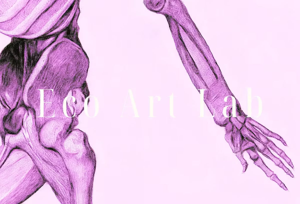 Human Skeleton in Pink. Vintage Anatomical Illustration. Instant Download Anatomy Medical Art. Skeleton Poster Art Print. Printable Wall Art – Printable Wall Art