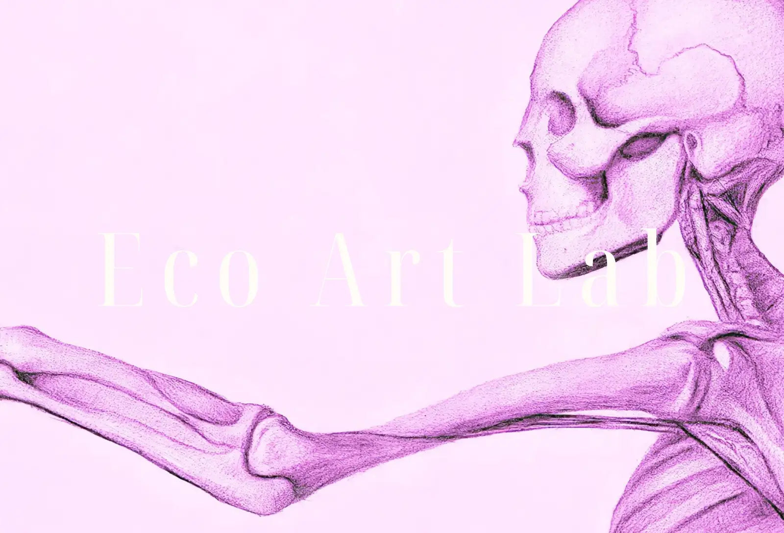 Detail view of artwork from Human Skeleton in Pink. Vintage Anatomical Illustration. Instant Download Anatomy Medical Art. Skeleton Poster Art Print. Printable Wall Art. (variation 1)