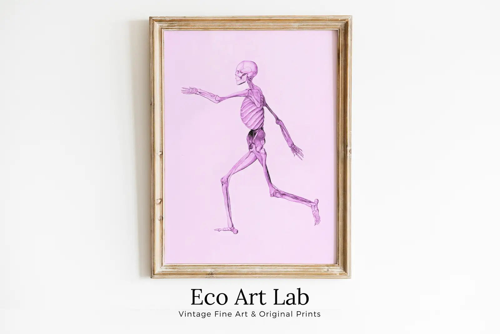 Framed view of Human Skeleton in Pink. Vintage Anatomical Illustration. Instant Download Anatomy Medical Art. Skeleton Poster Art Print. Printable Wall Art – printable wall art digital download.