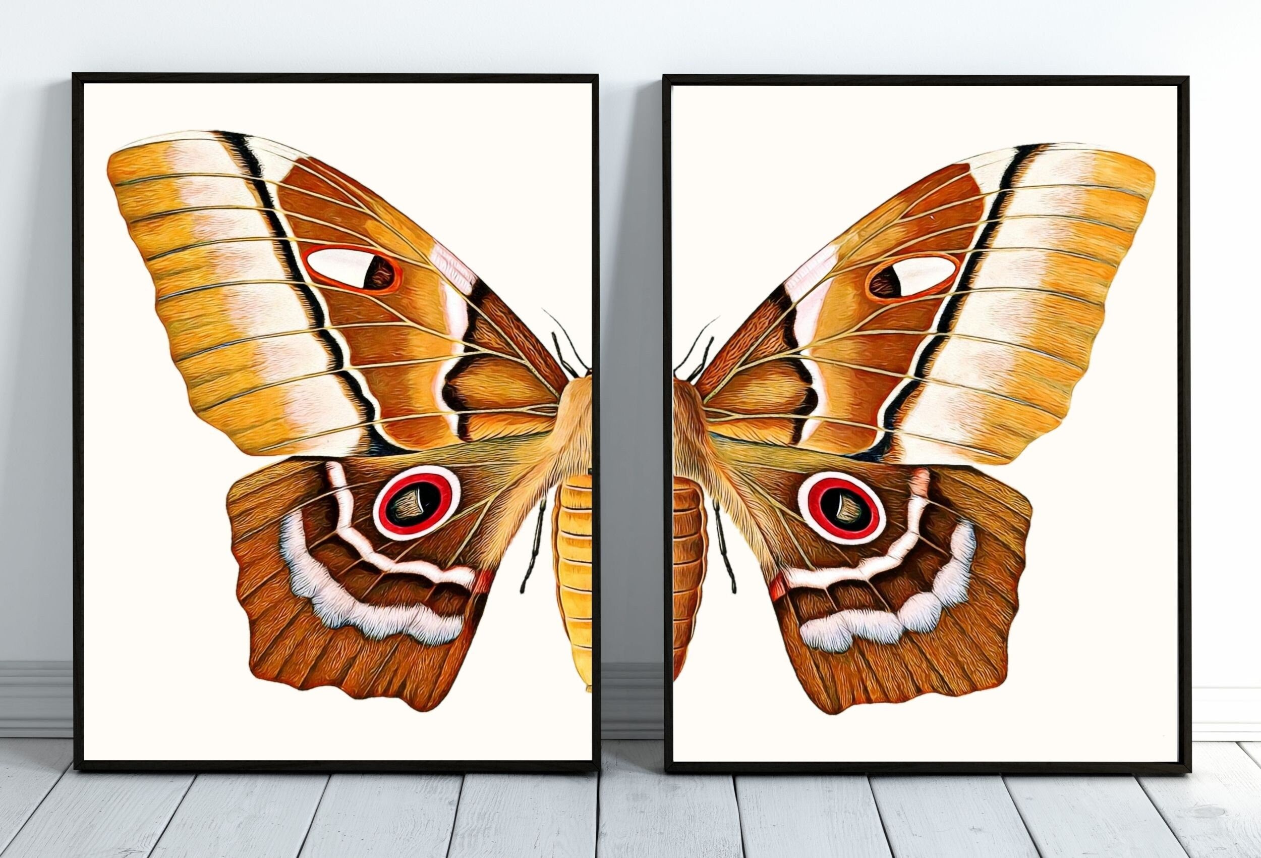 Insect Print, Moth Butterfly Print, Butterfly Set of 2 Prints