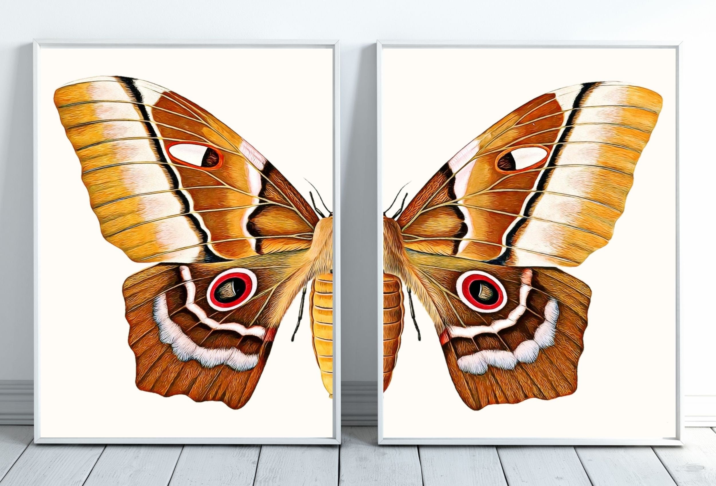 Insect Print, Moth Butterfly Print, Butterfly Set of 2 Prints