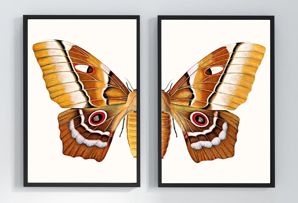Insect Print, Moth Butterfly Print, Butterfly Set of 2 Prints