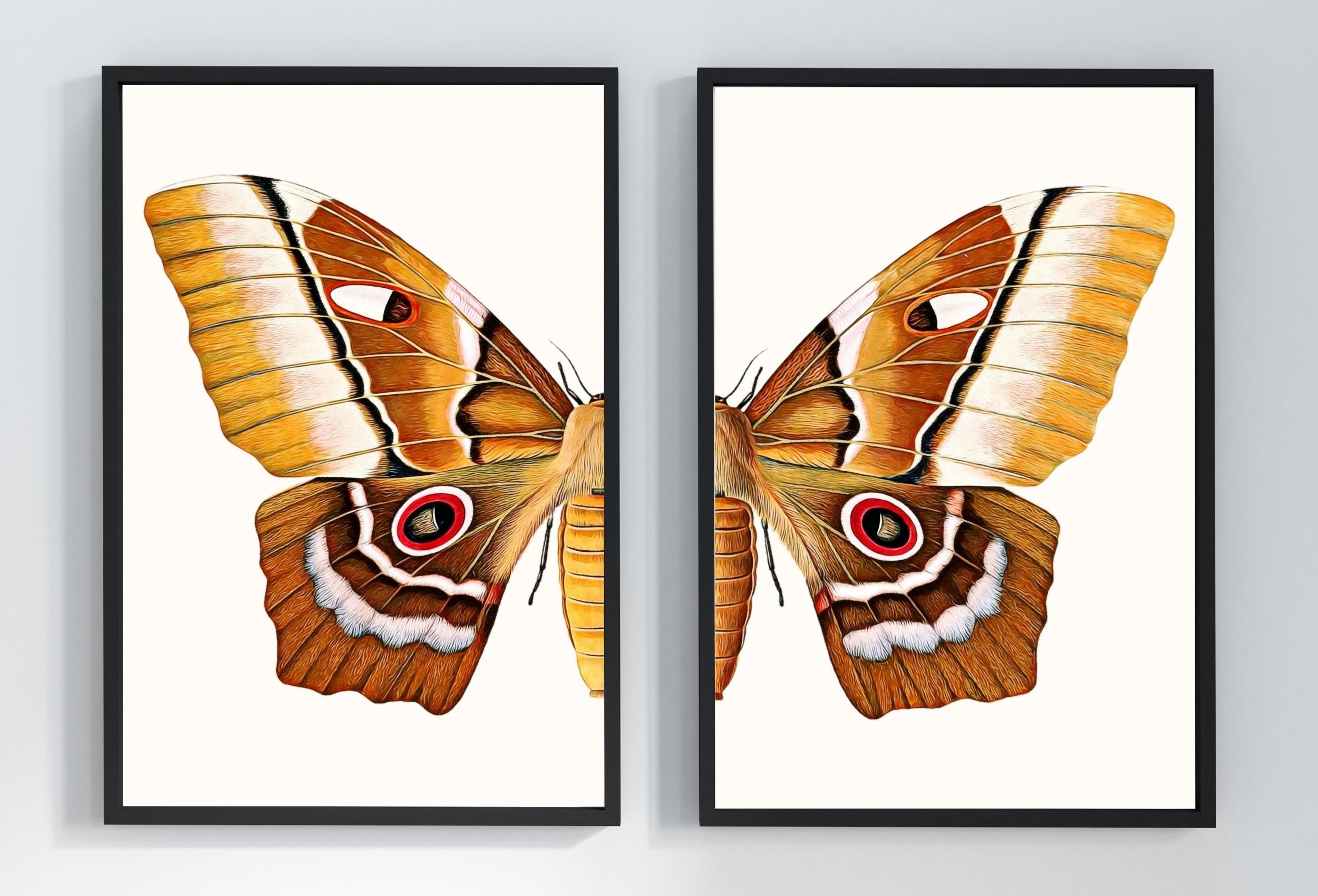 Insect Print, Moth Butterfly Print, Butterfly Set of 2 Prints