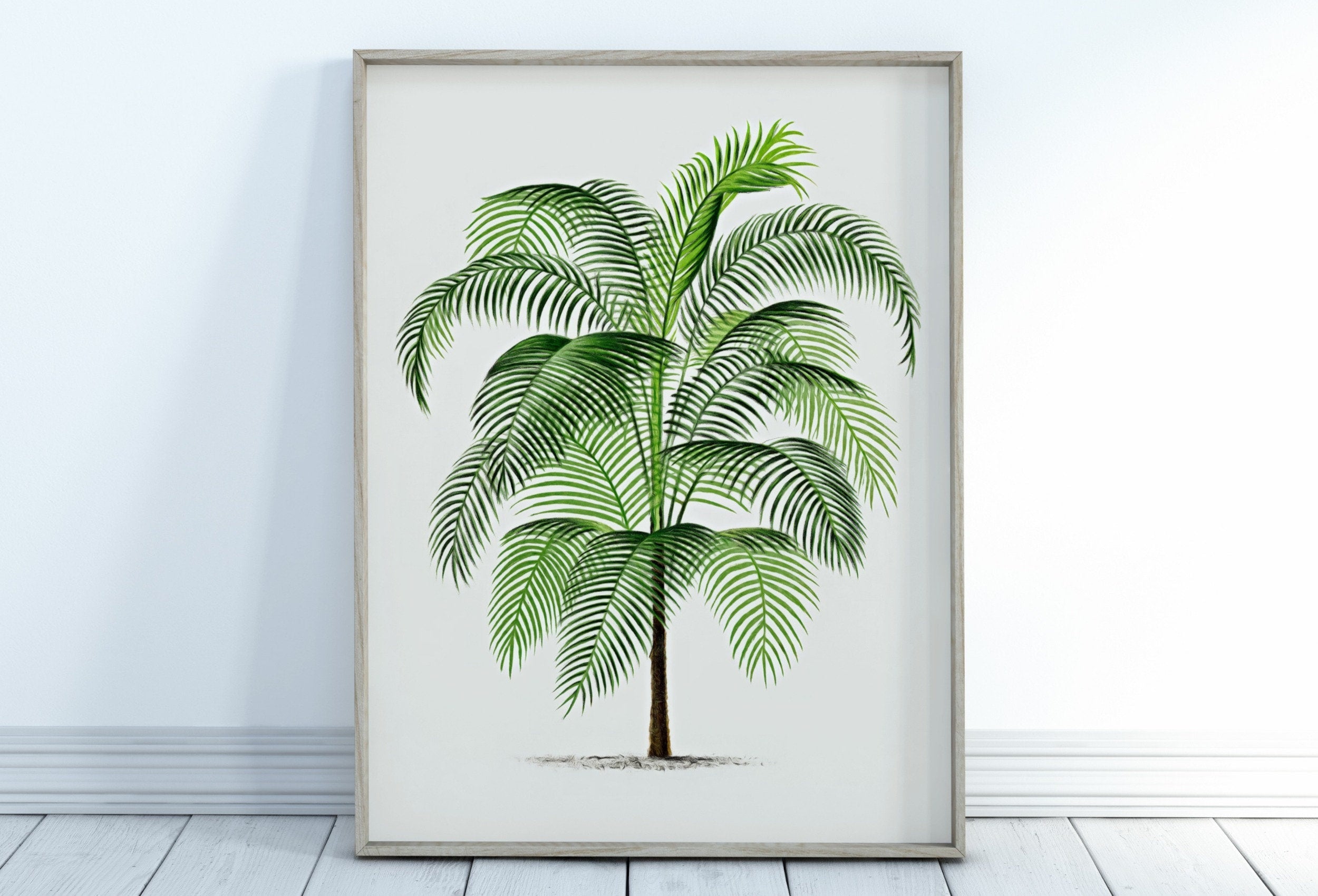 Vintage Palm Tree Drawing Print Tropical Wall Art. Palm Leaves Tree Decor, Retro Nature Poster Instant Download Botanical Illustration #17 – Printable Wall Art Digital Download – Digital Download