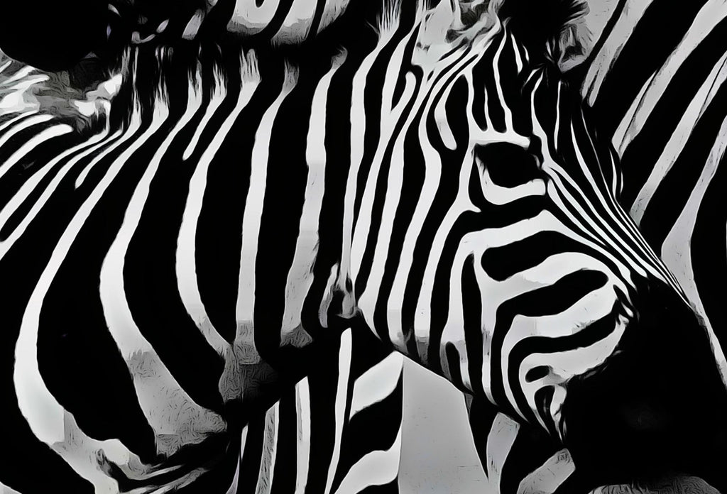 Zebra Love Black and White Printable Wall Art. Zebra Digital Print Black and White Art Downloadable Art. Safari Animals Print