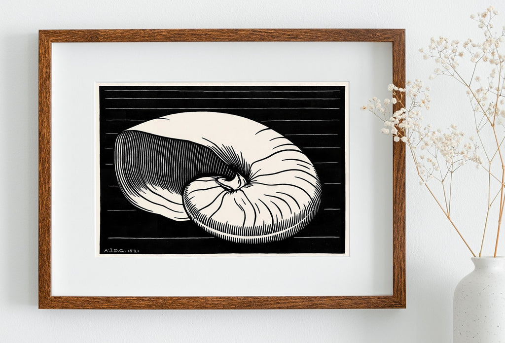 Vintage Sea Shell Print Printable Wall Art. Art Nouveau Print Shell Art. Instant Download Poster Julie De Graag Wall Art. Art Nouveau Poster