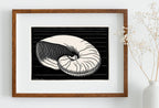 Vintage Sea Shell Print Printable Wall Art. Art Nouveau Print Shell Art. Instant Download Poster Julie De Graag Wall Art. Art Nouveau Poster