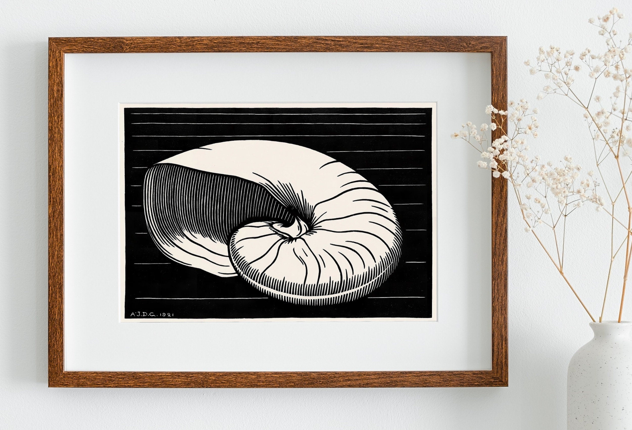 Vintage Sea Shell Print Printable Wall Art. Art Nouveau Print Shell Art. Instant Download Poster Julie De Graag Wall Art. Art Nouveau Poster
