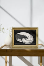 Vintage Sea Shell Print Printable Wall Art. Art Nouveau Print Shell Art. Instant Download Poster Julie De Graag Wall Art. Art Nouveau Poster
