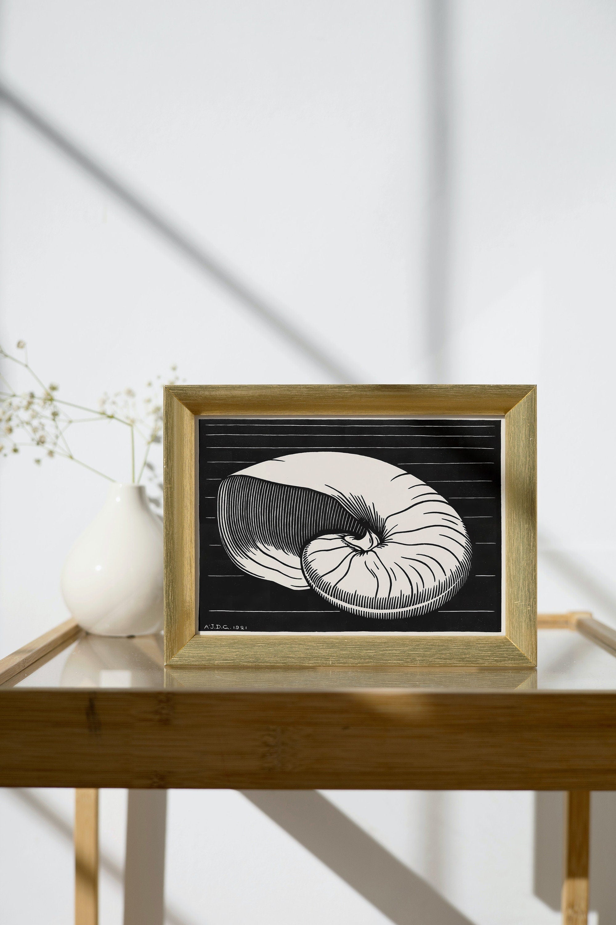 Vintage Sea Shell Print Printable Wall Art. Art Nouveau Print Shell Art. Instant Download Poster Julie De Graag Wall Art. Art Nouveau Poster