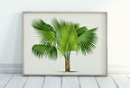 Vintage Palm Tree Print Tropical Wall Art. Palm Leaves Tree Decor, Retro Nature Poster Instant Download Botanical Print, Palm Trees Art #34