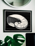 Vintage Sea Shell Print Printable Wall Art. Art Nouveau Print Shell Art. Instant Download Poster Julie De Graag Wall Art. Art Nouveau Poster