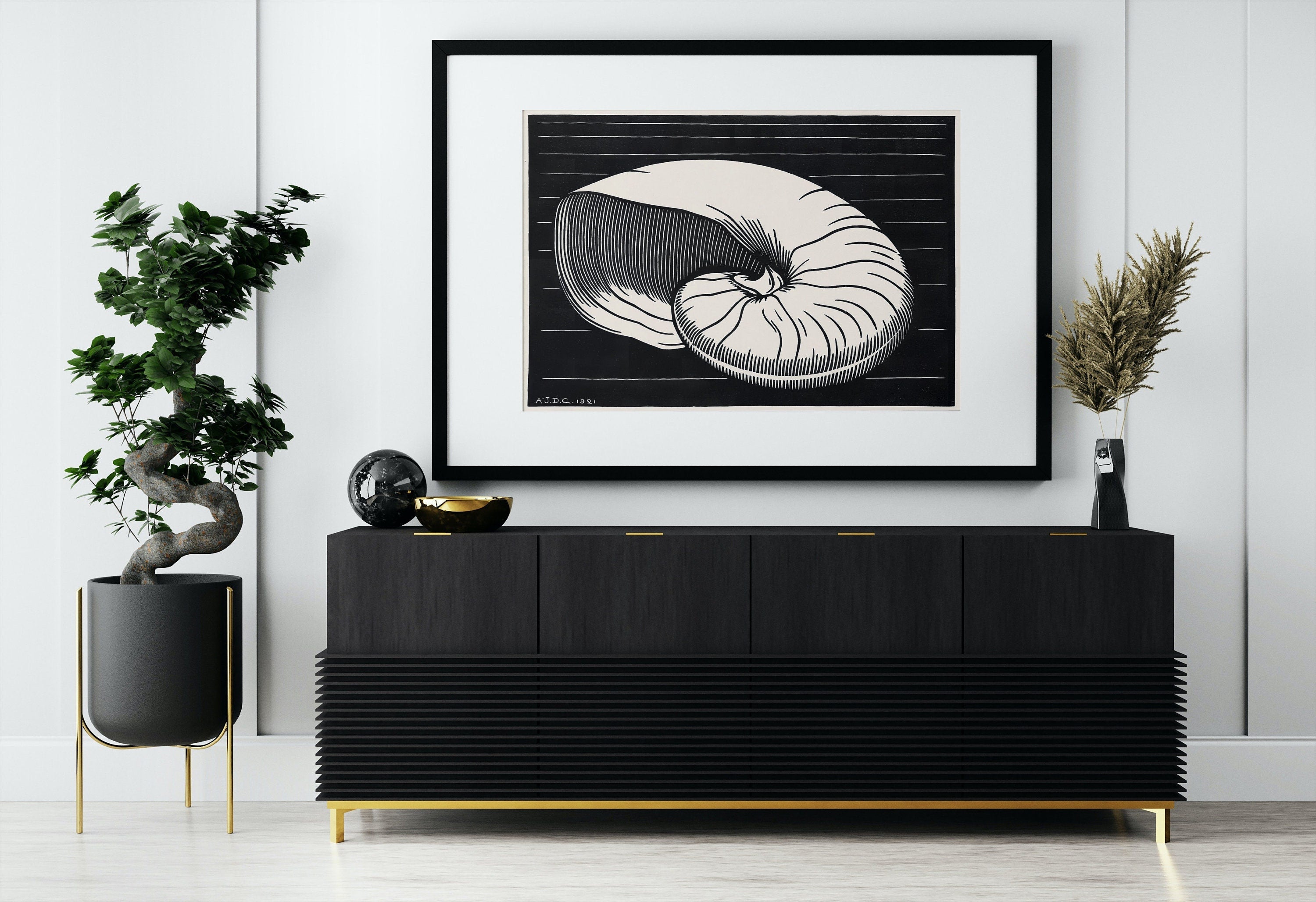 Vintage Sea Shell Print Printable Wall Art. Art Nouveau Print Shell Art. Instant Download Poster Julie De Graag Wall Art. Art Nouveau Poster