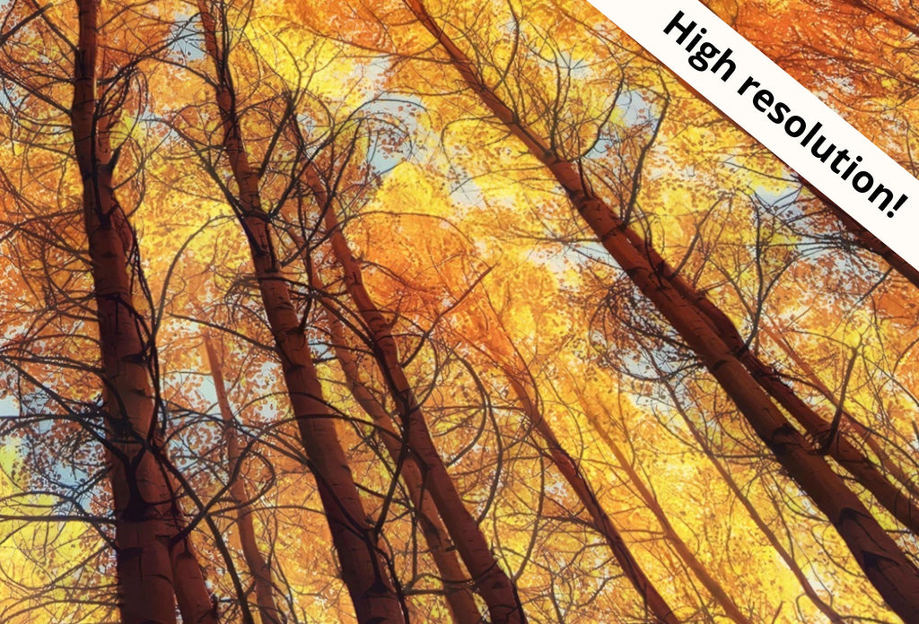 Forest Trees Canopy 4K Frame TV Art. Nature Landscape Painting Samsung Frame TV Art. Instant Download Nature Art for TV. Autumn Landscape