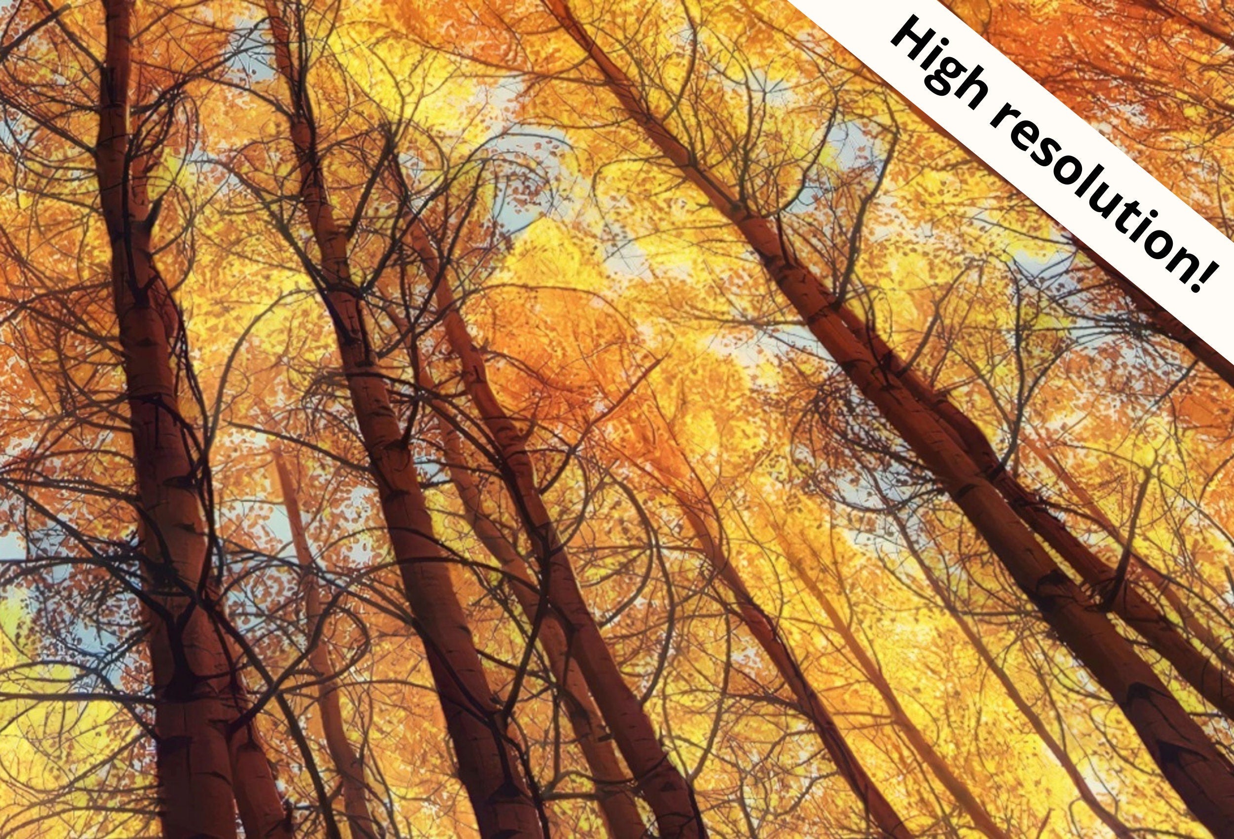 Forest Trees Canopy 4K Frame TV Art. Nature Landscape Painting Samsung Frame TV Art. Instant Download Nature Art for TV. Autumn Landscape