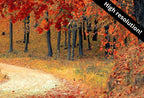 Samsung Frame TV Art 4K Forest Trail in the Fall Landscape Digital Painting. Instant Download Fall Art for the Samsung Frame TV. Art for TV