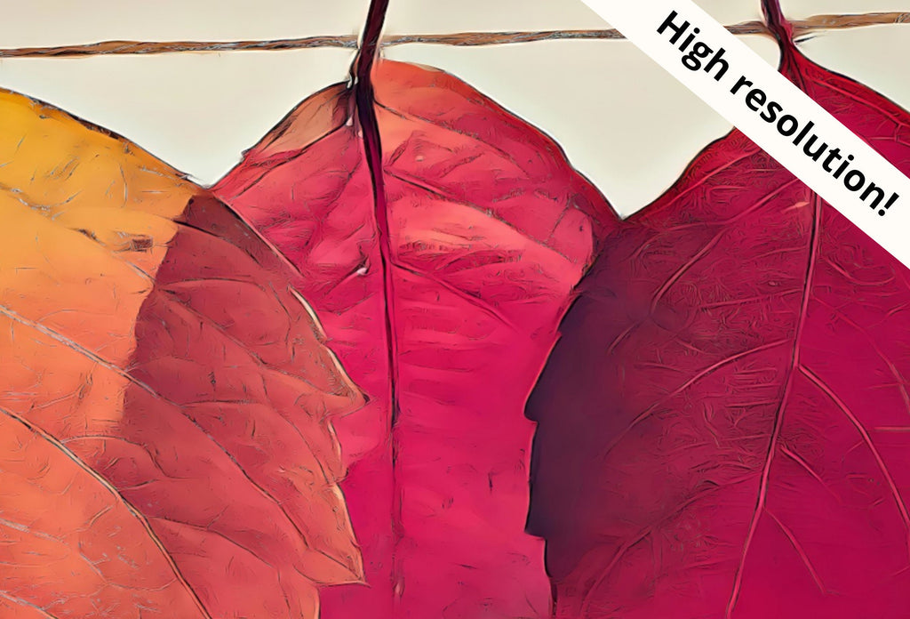 Samsung Frame TV Art 4K Hanging Autumn Leaves Digital Painting. Instant Download Fall Art for the Samsung Frame TV. Nature Art for TV