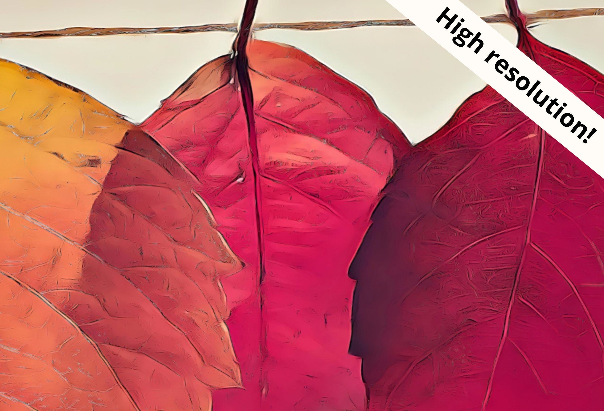 Samsung Frame TV Art 4K Hanging Autumn Leaves Digital Painting. Instant Download Fall Art for the Samsung Frame TV. Nature Art for TV
